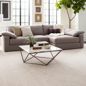 Living room Carpet flooring | Thornton Flooring