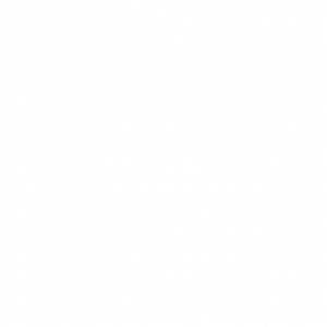 Karastan Carpet | Thornton Flooring