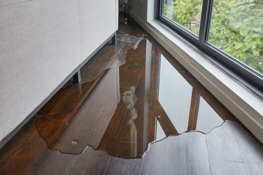 How to Deal with Flood Damage | Thornton Flooring